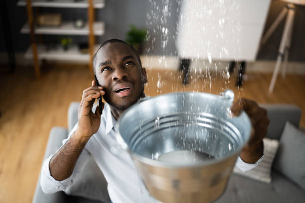 Best Local water damage restoration  in Castle Rock, WA