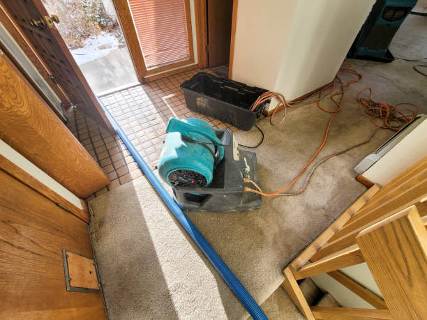 Best Commercial water damage restoration  in Castle Rock, WA