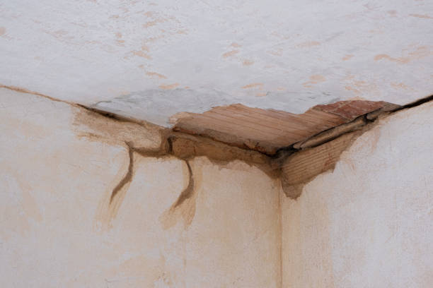 Best Water damage restoration near me  in Castle Rock, WA