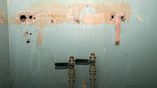 Best Flood restoration services  in Castle Rock, WA