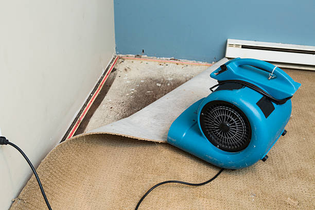 Best Commercial water damage restoration  in Castle Rock, WA